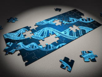 Puzzle ADN CRISPR