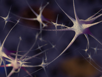 Banner 04 Neuron