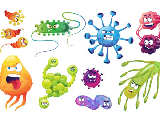 bacteria virus 2