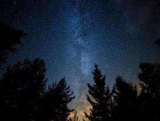 Atoms 06 Milky Way Forest