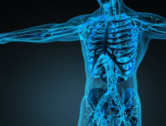 Body 28 Inside the Body v2
