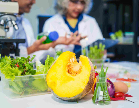 a female and male scientist conduct plant research 2025 02 15 18 42 01 utc re