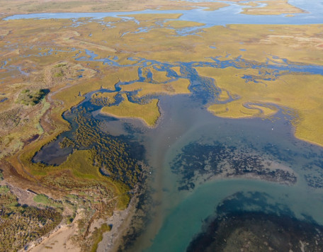 aerial view of estuary as seen from the sky