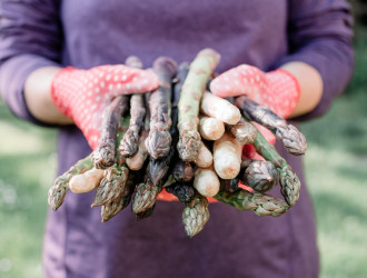 asparagus sprouts in hands of a farmer 2025 02 21 17 52 17 utc min min