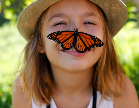 butterfly on my face 2024 11 27 14 35 53 utc