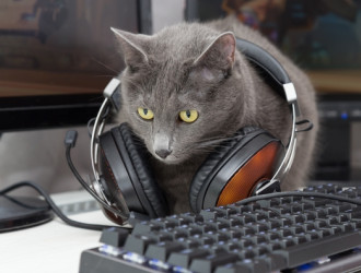 cat with headphones listening to music 2022 11 15 03 05 35 utc 3
