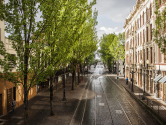 empty tree lined cobblestone street with tram line 2024 12 13 20 49 18 utc