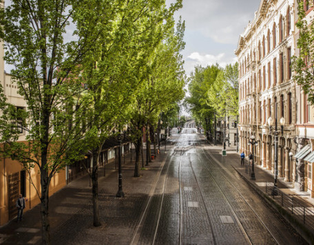 empty tree lined cobblestone street with tram line 2024 12 13 20 49 18 utc