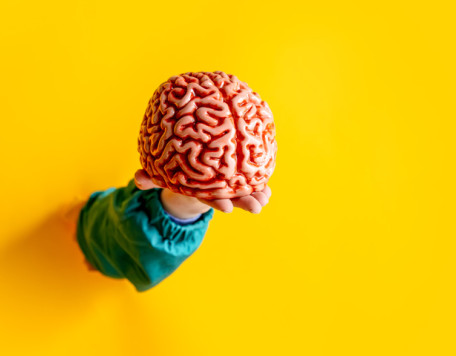 female hand hold human brain on yellow background 2024 09 26 10 11 14 utc 720