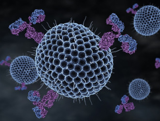 herpes viruses and antibodies 2024 12 04 19 16 37 utc