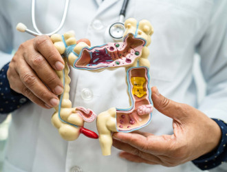 intestine appendix and digestive system doctor h 2025 02 24 11 30 41 utc