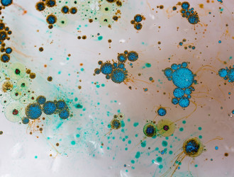 microbiological pattern background in luminescent 2025 02 09 03 06 19 utc