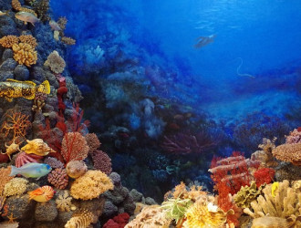 seabed 895507 640
