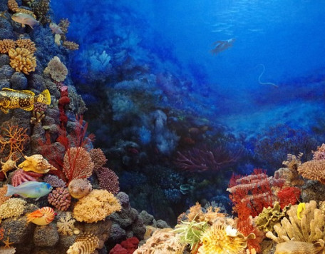 seabed 895507 640