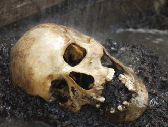 Soc 21 Skull
