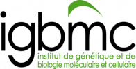 IGBMC 2012 logo