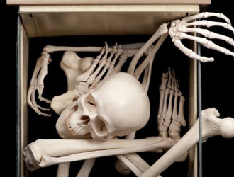 Body 11 Bones
