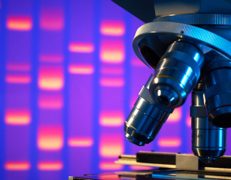 Body 26 Microscope