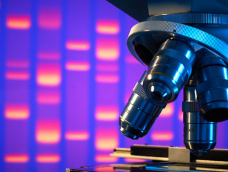 Body 26 Microscope