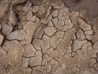 Earth 09 Dried Mud