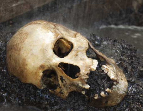 Soc 21 Skull