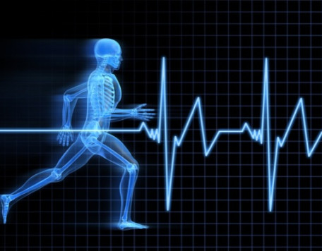 Body 31 Running Skeleton