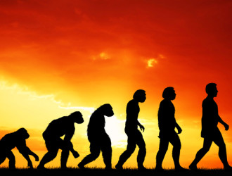 Body 27 Evolution