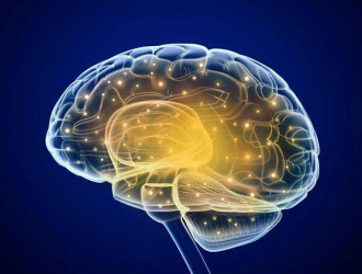 Mind 01 Brain preview